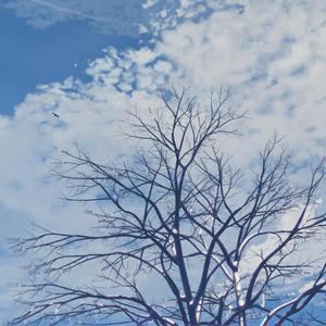 四虎成人影院9丨
