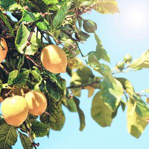 四虎成人影院9丨
